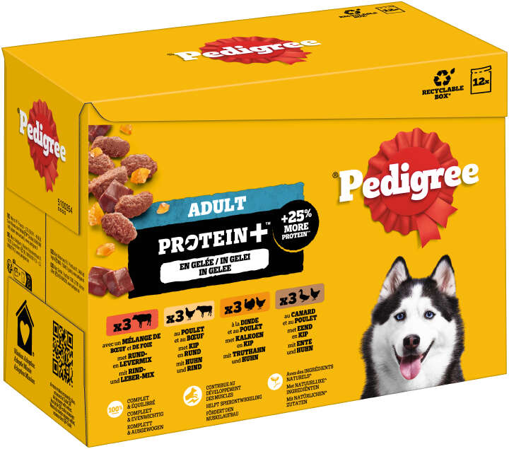Pedigree Hunde-Nassfutter Adult Protein Plus in Gelee